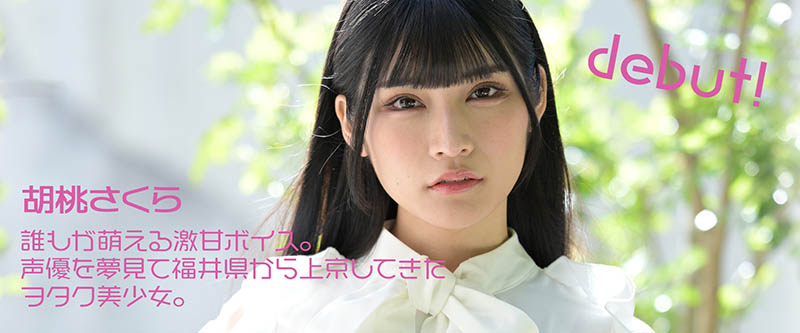 胡桃さくら(胡桃樱，Kurumi-Sakura)品番作品MOGI-013介绍及预览-很美的
