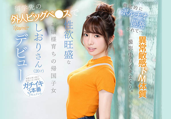 芦那しおり(芦那诗织)品番作品IPX-376介绍及预览-很美的