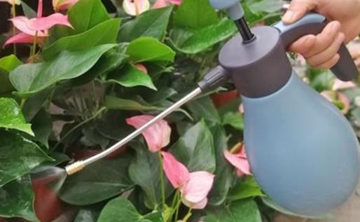 养花浇水过程中需要掌握的小窍门 扣水和回水的区别-很美的