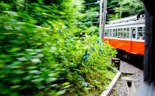 出境旅游的自我保护 避免卷入不必要的麻烦-很美的