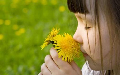 为啥高知家庭的孩子易自闭？-很美的