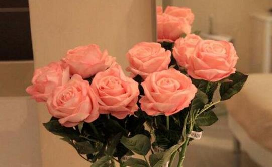 玫瑰花如何保存才能持久不枯 延长玫瑰花保鲜期的小妙招-很美的