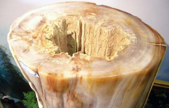 树化玉有哪些价值?-很美的