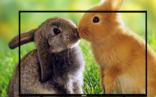 选购智能电视 为各式新颖的电视机款式解码-很美的