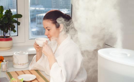 冬季使用加湿器需要注意些什么 加湿器应如何科学保养-很美的