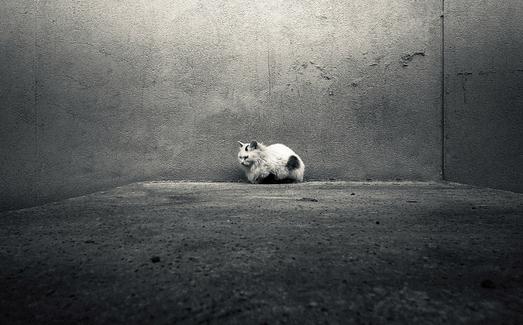 如何与自闭症儿童沟通？-很美的