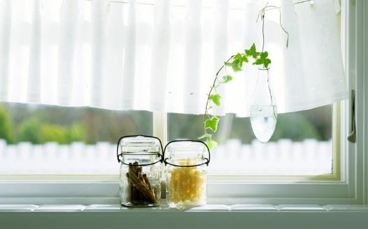 畏寒花卉春季出室的经验 掌握花卉的生长规律是关键-很美的