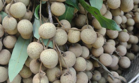 孕妇科学健康饮食最重要 孕妇不能吃的10种食物-很美的