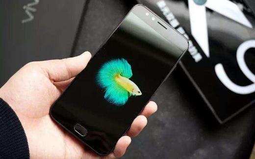 手机电量少辐射更大吗-很美的