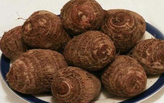 致癌植物知多少 和有毒植物打交道的窍门-很美的