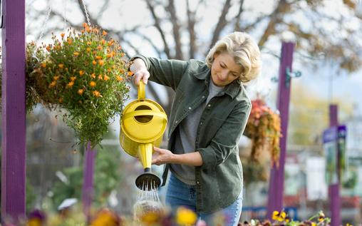 7月份适合种植什么花卉?-很美的