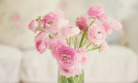 如何让鲜花长开不败?