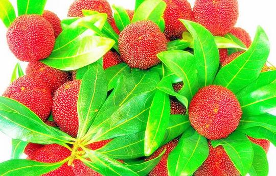 白色衣服染上杨梅汁怎么办-很美的