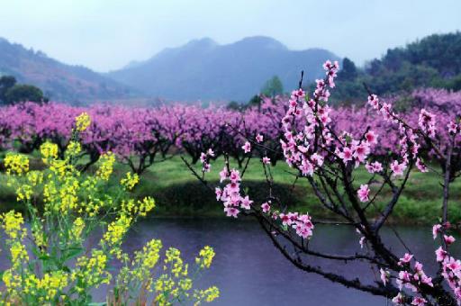 春季踏青要注意什么事项-很美的