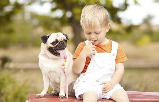 孩子不愿意去幼儿园的原因-很美的