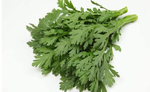 多吃10种蔬菜 让宝宝聪颖过人-很美的