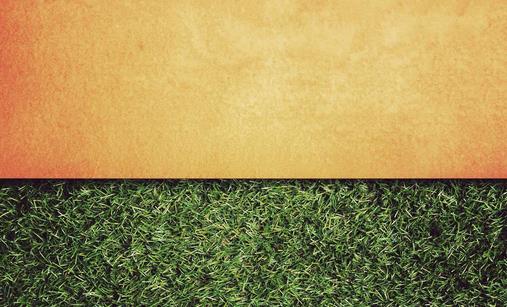 墙壁发霉了该怎么办-很美的