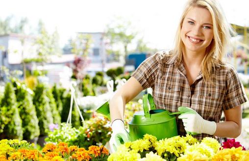 六月份适合种植哪些花?-很美的