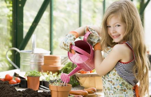 浇水不当是花卉死亡的主要原因 养花要从学浇水开始-很美的