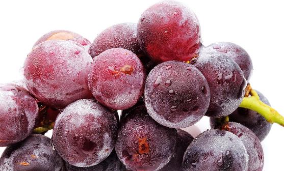 孕妇吃水果的注意事项 四种营养水果食谱补充营养-很美的