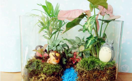 自己DIY苔藓微景观 苔藓微景观养护技巧-很美的