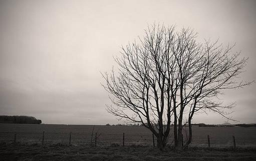 这些急救措施存在隐患！-很美的