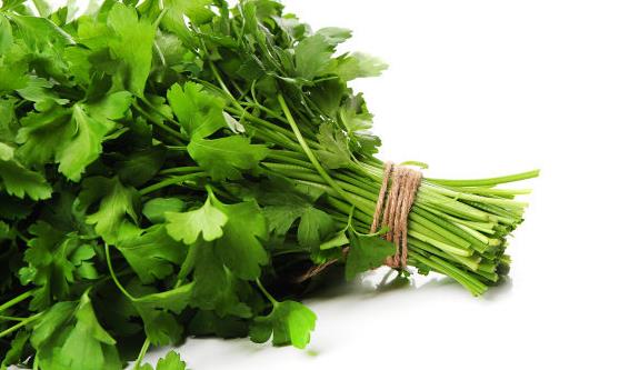 吃香菜增强食欲消食健胃 吃香菜注意事项-很美的