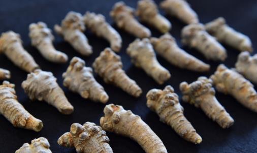 三七粉祛瘀又补益 三七粉的正确吃法是一种病一个量-很美的