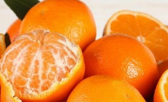 不同的水果不同的功效 生活中常见水果的妙用-很美的