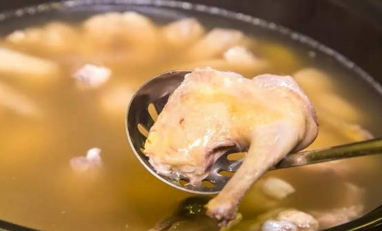 一鸽胜九鸡 鸽子汤的做法及功效-很美的