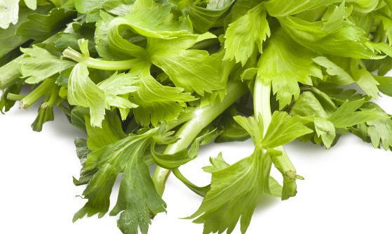 常吃芹菜养血补虚 低血压脾胃虚弱的人不宜吃-很美的