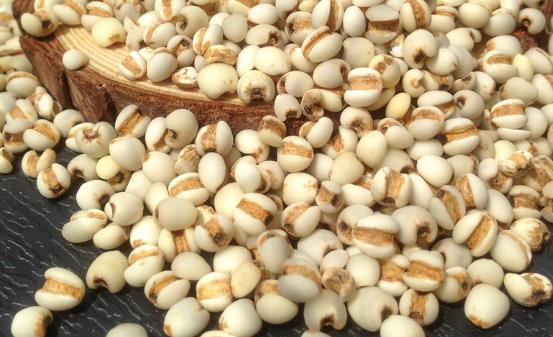 薏仁米的8大功效 虚寒体质及孕妇勿多食-很美的