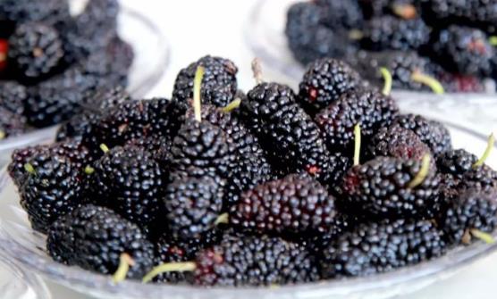 桑葚果酱的制作方法及技巧 桑葚果酱的保存方法-很美的