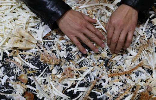 生活中常见的急救小常识 了解更多的日常急救方法-很美的