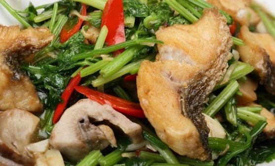 正确使用食用油 炒菜少油的小诀窍-很美的