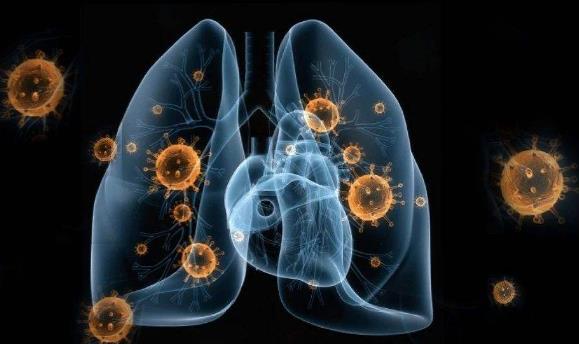 24问新型冠状病毒肺炎乙类传染病 事实到勘谬最全知识点-很美的