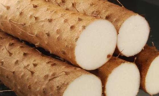 山药含有多种微量元素 山药的多种家常做法-很美的