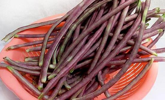 八月豆为人体补充丰富氨基酸 八月豆的食用方法-很美的
