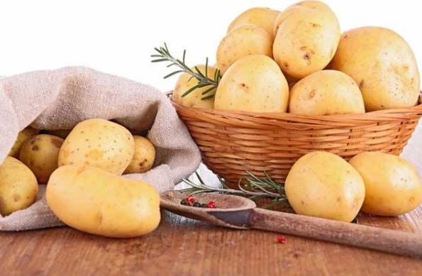 土豆发芽了还能吃吗?刚发芽的土豆可以吃吗