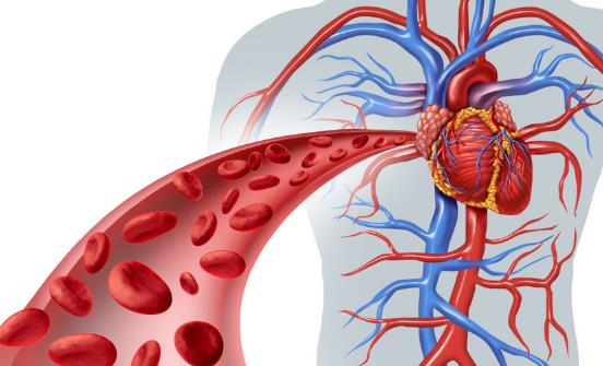 血管不通身体会报警 保持血管畅通应养成七个良好习惯-很美的