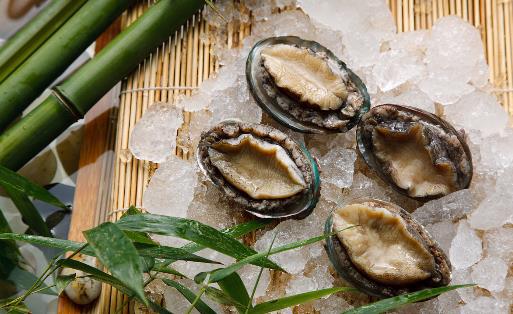 鲍鱼该如何清洗?鲍鱼如何挑选-很美的