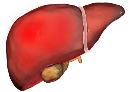 为什么手机是睡眠杀手?习惯性睡前玩手机、长期熬夜玩手机的危害
