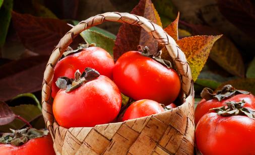 冬季吃柿子容易长结石吗 成熟柿子可以放心随便吃-很美的