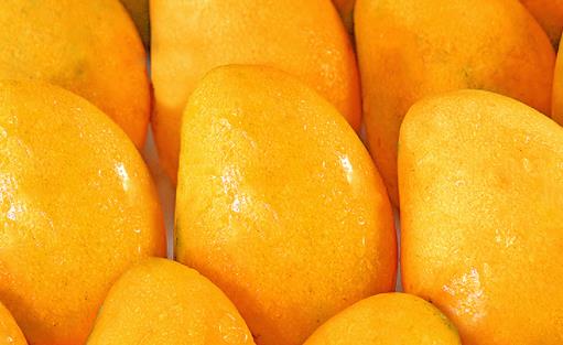 小台芒好还是贵妃芒好小台芒怎么切方便吃-很美的