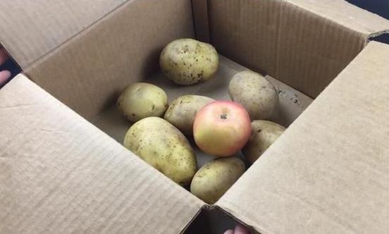 土豆发芽了还能吃吗?刚发芽的土豆可以吃吗