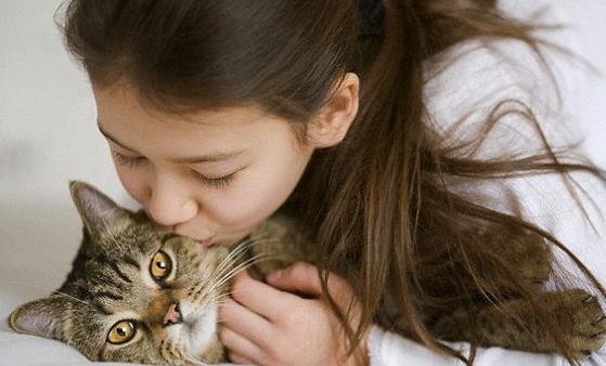 吸猫有风险 免疫力低尽量别养猫-很美的