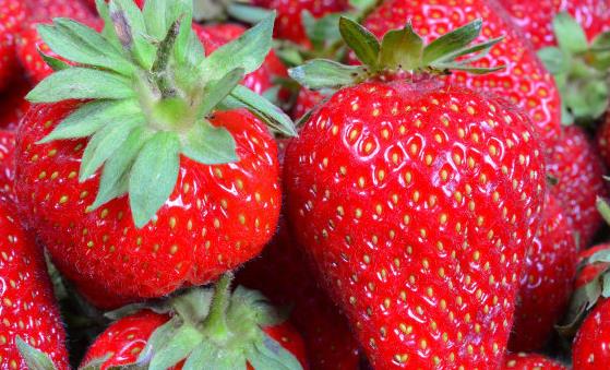 冰箱储存食物可保鲜 最不该放冰箱的13种食物