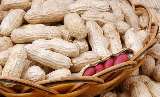 花生称为长生果 常吃吃花生四大好处-很美的