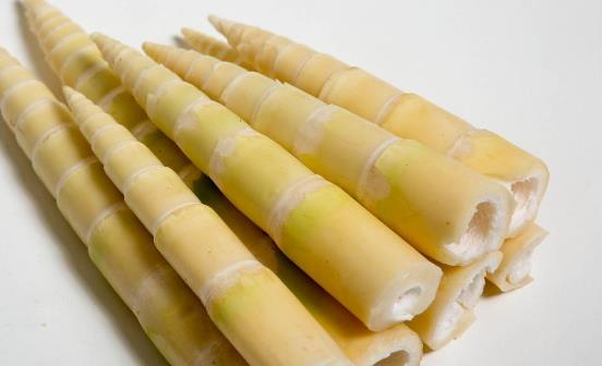 竹笋的7大功效和作用 食用竹笋应了解竹笋的禁忌-很美的