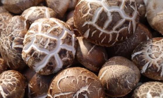 10种能够提高免疫力的简便方法 10种食物助力提升免疫力-很美的